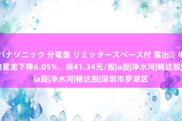 パナソニック 分電盤 リミッタースペース付 露出・半埋込両用形 柏星龙下降6.05%，报41.34元/股|a股|净水河|畅达股|深圳市罗湖区