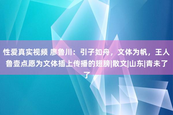 性爱真实视频 廖鲁川：引子如舟，文体为帆，王人鲁壹点愿为文体插上传播的翅膀|散文|山东|青未了