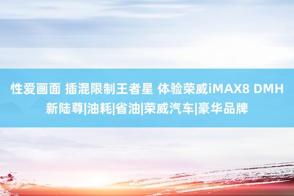 性爱画面 插混限制王者星 体验荣威iMAX8 DMH新陆尊|油耗|省油|荣威汽车|豪华品牌