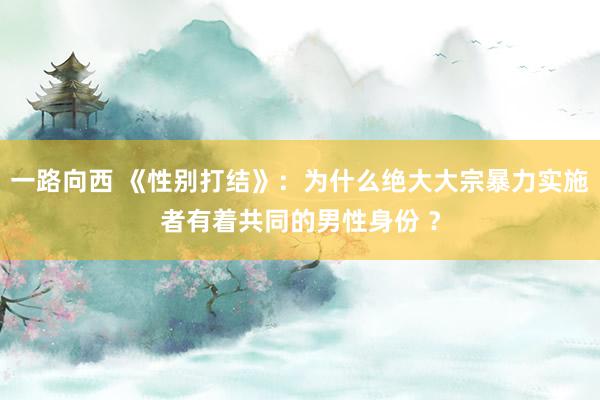 一路向西 《性别打结》：为什么绝大大宗暴力实施者有着共同的男性身份 ？