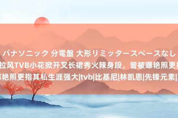 パナソニック 分電盤 大形リミッタースペースなし 露出・半埋込両用形 拉风TVB小花掀开叉长裙秀火辣身段，曾被曝艳照更指其私生涯强大|tvb|比基尼|林凯恩|先锋元素|万千星辉受奖仪式