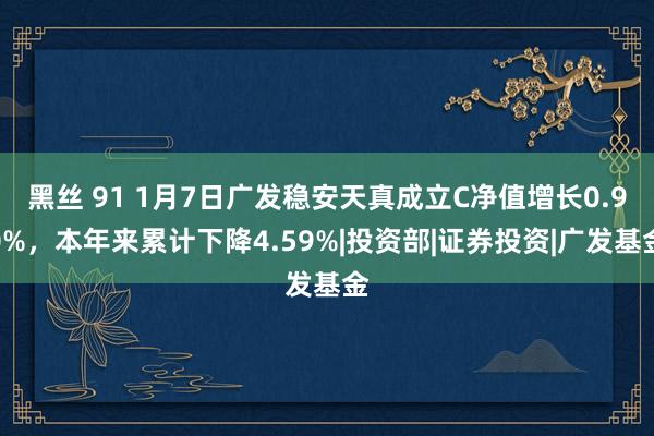 黑丝 91 1月7日广发稳安天真成立C净值增长0.90%，本年来累计下降4.59%|投资部|证券投资|广发基金