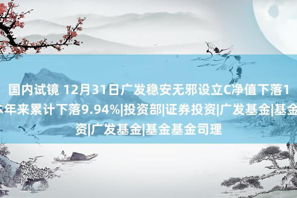 国内试镜 12月31日广发稳安无邪设立C净值下落1.63%，本年来累计下落9.94%|投资部|证券投资|广发基金|基金基金司理