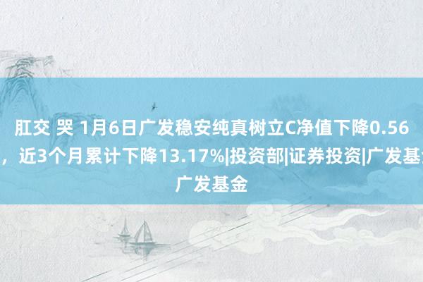 肛交 哭 1月6日广发稳安纯真树立C净值下降0.56%，近3个月累计下降13.17%|投资部|证券投资|广发基金