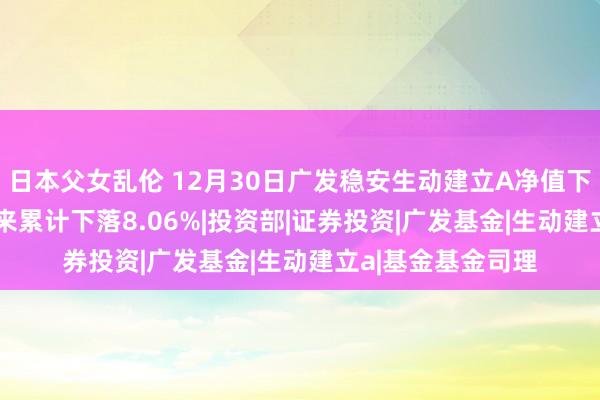 日本父女乱伦 12月30日广发稳安生动建立A净值下落0.27%，本年来累计下落8.06%|投资部|证券投资|广发基金|生动建立a|基金基金司理