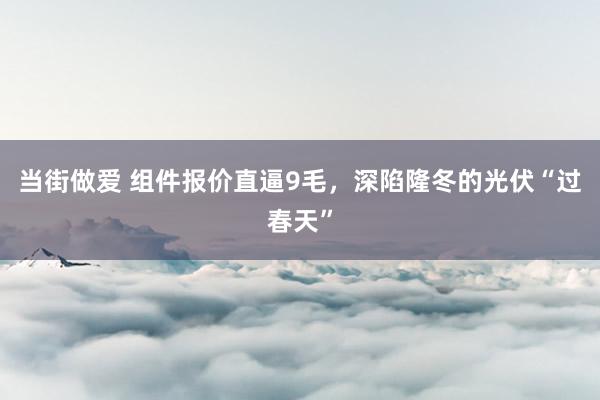 当街做爱 组件报价直逼9毛，深陷隆冬的光伏“过春天”