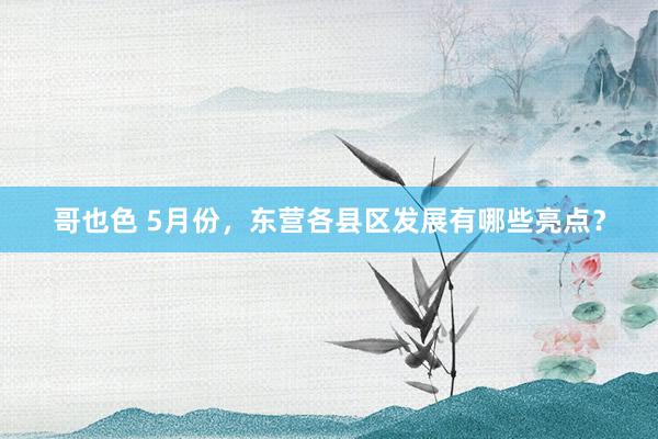 哥也色 5月份，东营各县区发展有哪些亮点？