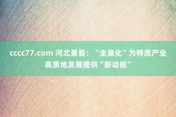 cccc77.com 河北景县：“圭臬化”为特质产业高质地发展提供“新动能”