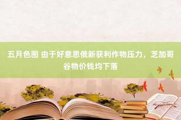 五月色图 由于好意思俄新获利作物压力，芝加哥谷物价钱均下落