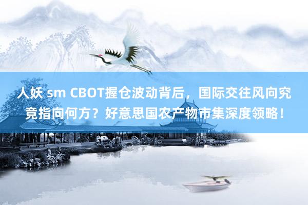 人妖 sm CBOT握仓波动背后，国际交往风向究竟指向何方？好意思国农产物市集深度领略！