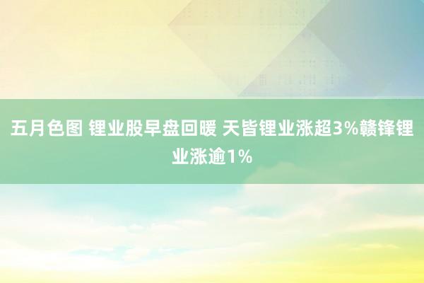 五月色图 锂业股早盘回暖 天皆锂业涨超3%赣锋锂业涨逾1%