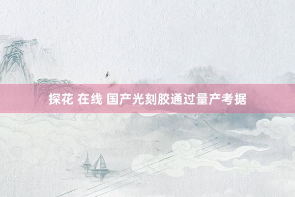 探花 在线 国产光刻胶通过量产考据