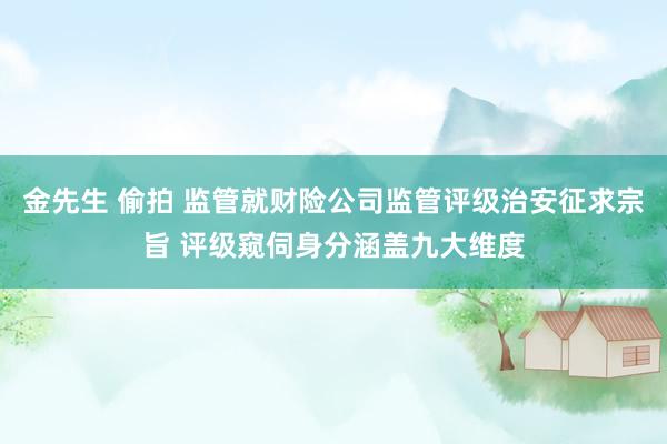 金先生 偷拍 监管就财险公司监管评级治安征求宗旨 评级窥伺身分涵盖九大维度