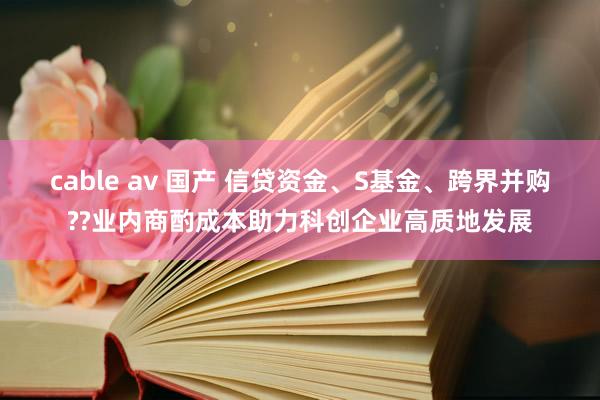 cable av 国产 信贷资金、S基金、跨界并购??业内商酌成本助力科创企业高质地发展