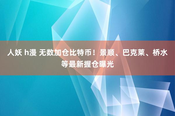 人妖 h漫 无数加仓比特币！景顺、巴克莱、桥水等最新握仓曝光